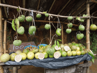 Variety of exotic fruits and vegetables displayed at a rustic market stall, promoting microbiome diversity.