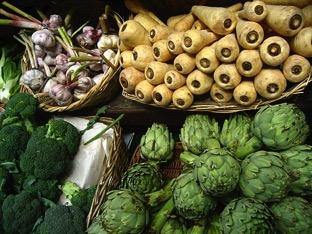 Foods that support gut bacteria. - SDBrainCenter
