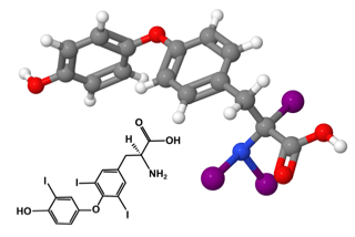 3D and 2D molecular structures of a chemical compound related to health and metabolism
