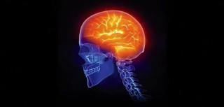 Digital illustration of human skull side view with inflamed brain, highlighting brain health