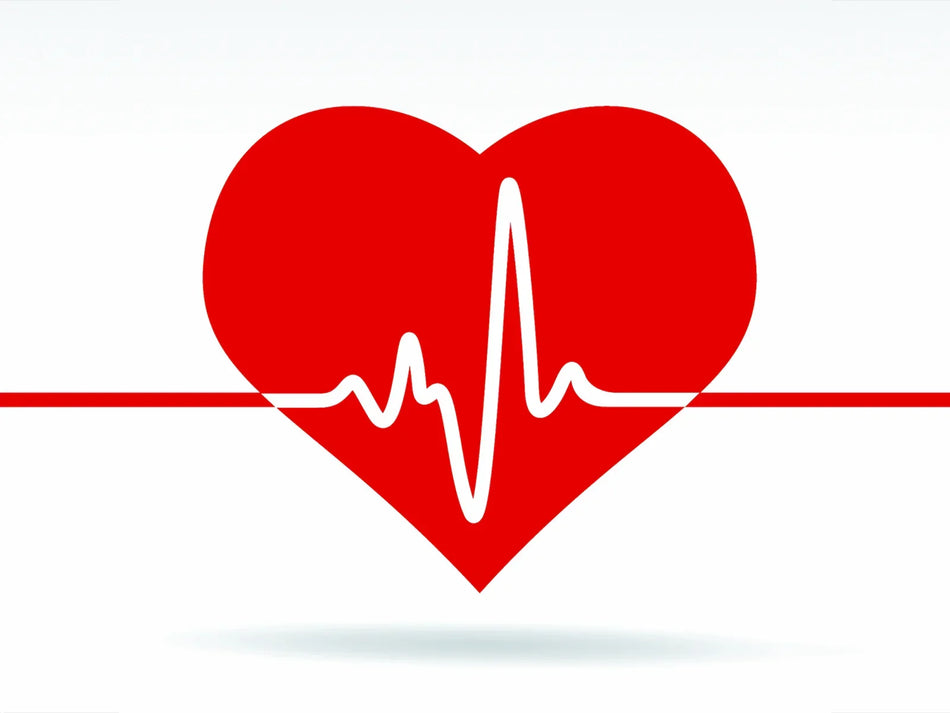 Red heart with an ECG heartbeat line, symbolizing heart health and cardiovascular wellness.