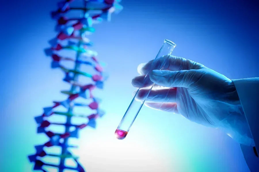 Gloved hand holding test tube near DNA helix, representing genetic testing and lab analysis.